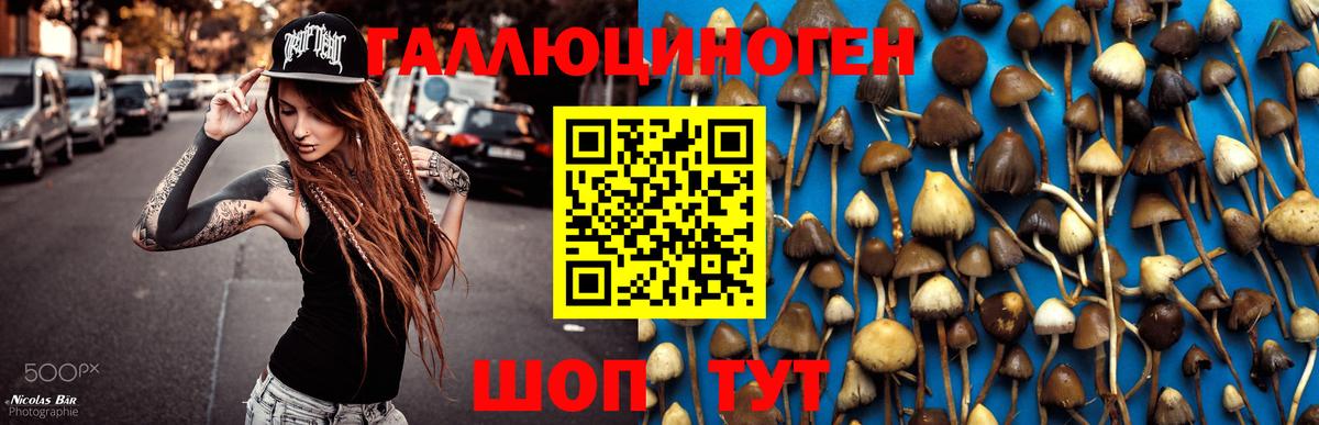 АМФЕТАМИН Ефремов